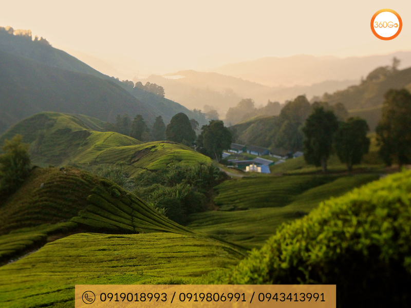 Cao nguyên xanh mát Malaysia với những ngọn đồi xanh mướt - Du lịch 360Go 